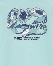 Dinosaur Skull Jersey Tee
